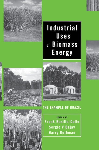 Book cover of: Industrial Uses of Biomass Energy