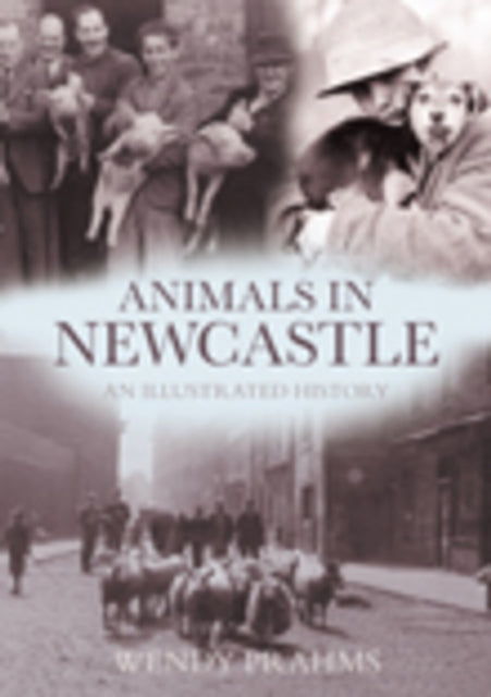 Book cover of: Animals in Newcastle