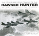 Hawker Hunteri disain ja arendus