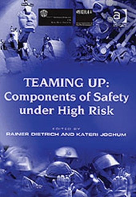 Book cover of: Teaming Up: Components of Safety Under High Risk