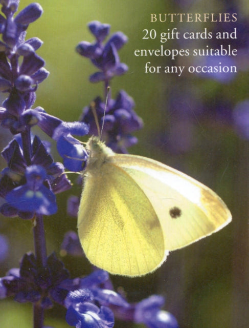 Book cover of: Butterfly Large Card Box