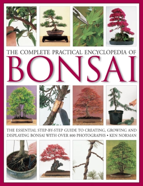 Book cover of: Complete Practical Encyclopedia of Bonsai