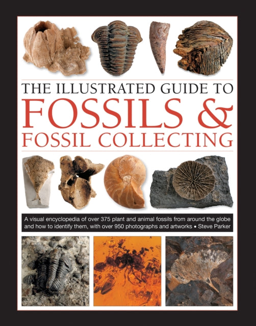 Fossils & Fossil Collecting, The Illustrated Guide to, A reference guide to over 375 plant and animal fossils from around the globe and how to identify them, with over 950 photographs and artworks 9780754834892 Steve Parker