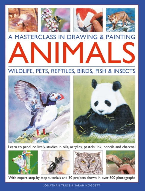 Masterclass in Drawing & Painting Animals (Wildlife, Pets, Reptiles, Birds, Fish & Insects)