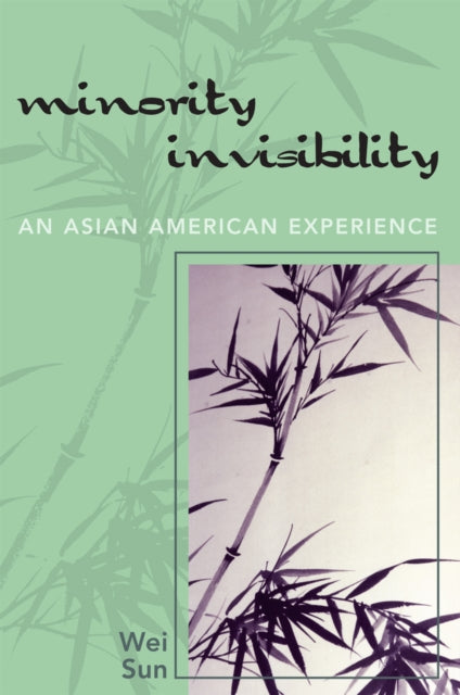 Book cover of: Minority Invisibility. By: Sun Wei