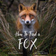 Book cover of: How to Find a Fox. By: Kate Gardner