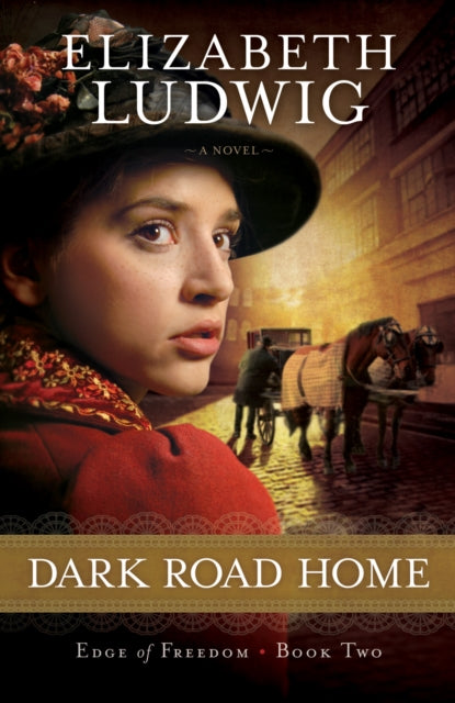 Book cover of: Dark Road Home. By: Elizabeth Ludwig