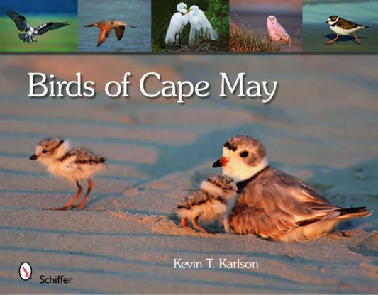 Book cover of: Birds of Cape May, New Jersey. By: Kevin Karlson