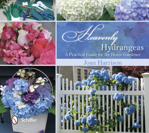 Heavenly Hydrangeas
