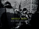 Book cover of: Briefly Seen. By: Harvey Stein