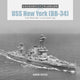 Book cover of: USS New York (BB-34). By: David Doyle
