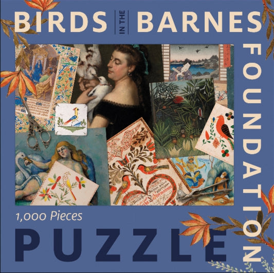 Book cover of: Birds in the Barnes Foundation. By: The Barnes Foundation