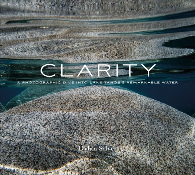 Book cover of: Clarity. By: Dylan Silver