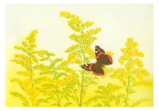 Book cover of: Maurice Bebb Goldenrod and Red Admiral Boxed Small Notecards