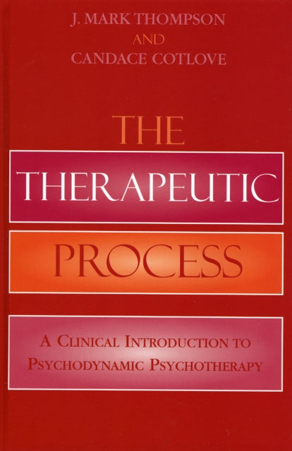The Therapeutic Process