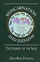 Book cover of: Reincarnation and Judaism