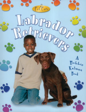 Labrador Retrievers