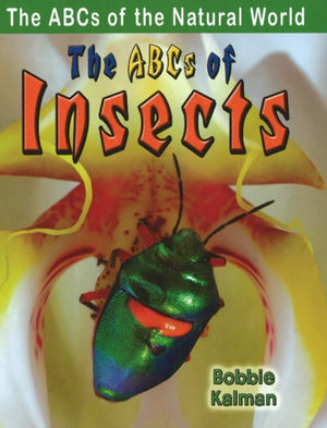 ABCs of Insects