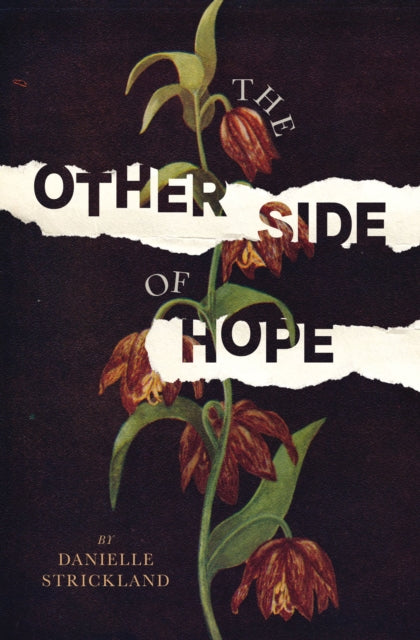 Book cover of: Other Side of Hope. By: Danielle Strickland