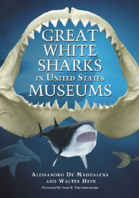 Book cover of: Great White Sharks in United States Museums. By: Alessandro De Maddalena