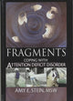 Book cover of: Fragments. By: Amy E. Stein