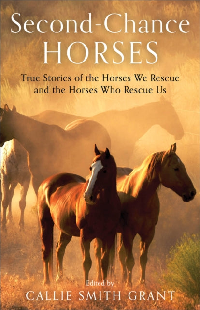 Book cover of: Second–Chance Horses – True Stories of the Horses We Rescue and the Horses Who Rescue Us