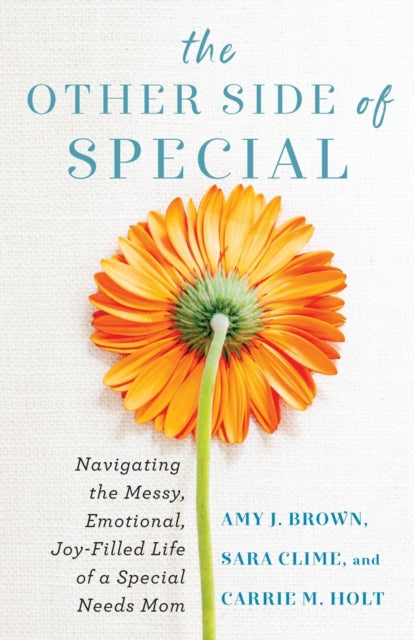Other Side of Special – Navigating the Messy, Emotional, Joy–Filled Life of a Special Needs Mom 9780800742119 Amy J. Brown