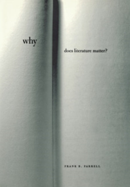 Book cover of: Why Does Literature Matter?