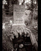Book cover of: Chesapeake Book of the Dead