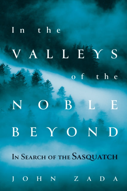 Book cover of: In the Valleys of the Noble Beyond. By: John Zada