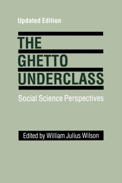 Book cover of: Ghetto Underclass. By: Wilson, William J.