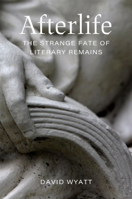 Book cover of: Afterlife. By: David Wyatt