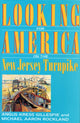 Book cover of: Looking for America on the New Jersey Turnpike. By: Angus K. Gillespie