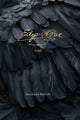 Edgar Allan Poe, A Life 9780813952239 Richard Kopley