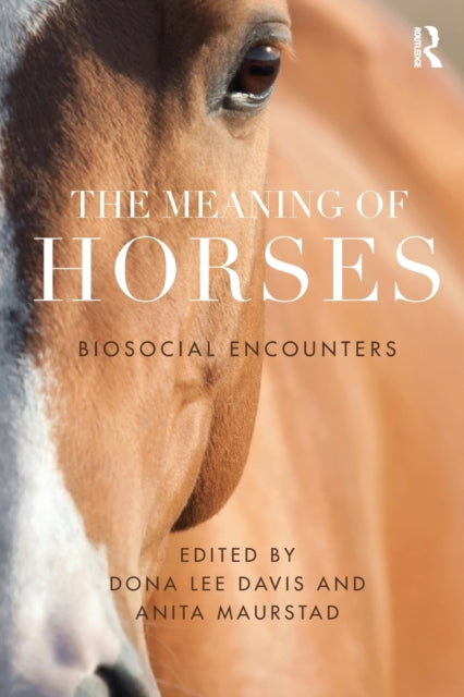 Book cover of: Meaning of Horses. By: Dona Davis