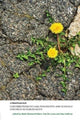 Book cover of: Contributions to Law, Philosophy and Ecology. By: Ruth Thomas-Pellicer