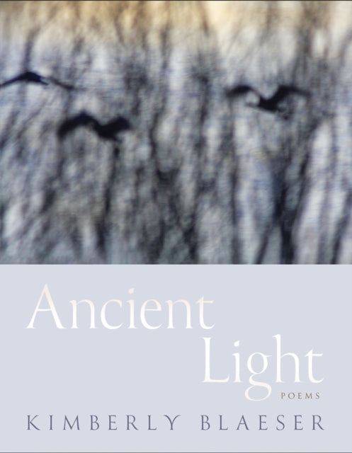 Book cover of: Ancient Light. By: Kimberly Blaeser