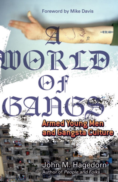 Book cover of: World of Gangs. By: John Hagedorn