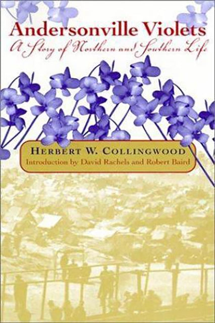 Book cover of: Andersonville Violets