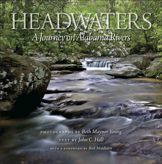 Book cover of: Headwaters. By: Beth Maynor Young
