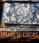 Book cover of: Tin Man. By: Charlie Lucas