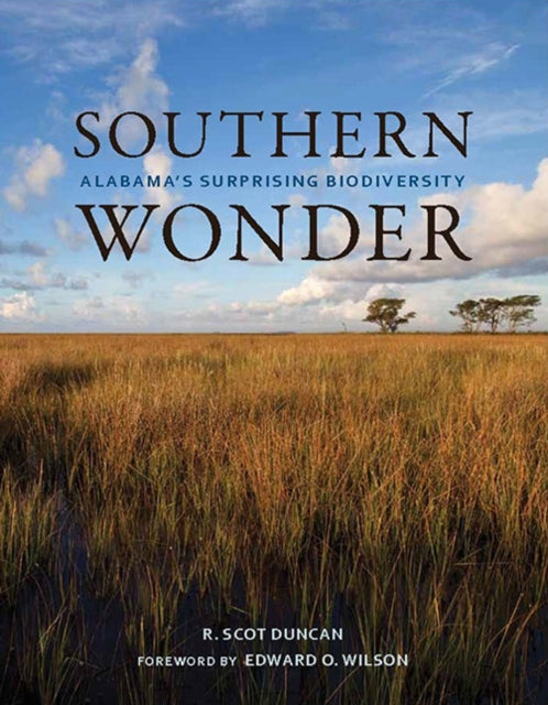 Book cover of: Southern Wonder. By: R. Scot Duncan