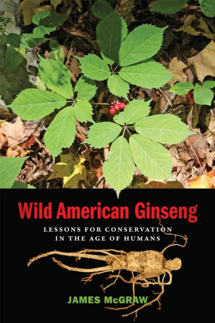 Book cover of: Wild American Ginseng. By: James McGraw