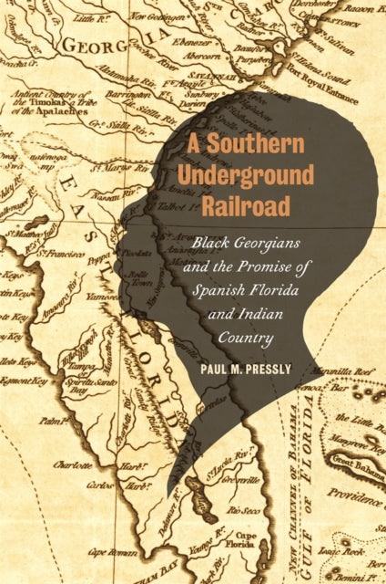 Book cover of: Southern Underground Railroad. By: Paul M. Pressly