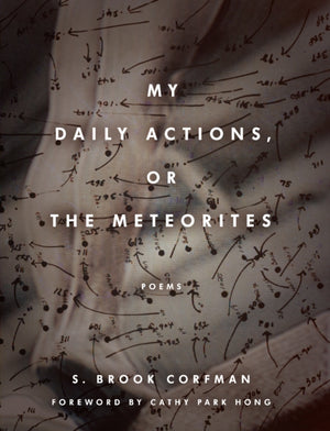 My Daily Actions, or the Meteorites