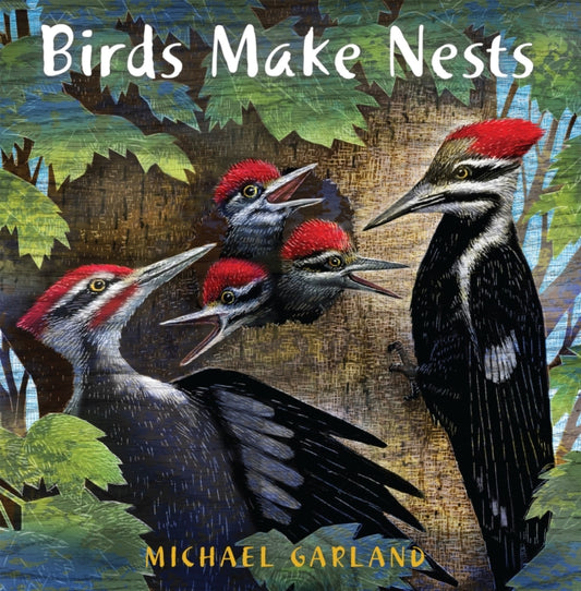 Book cover of: Birds Make Nests. By: Michael Garland