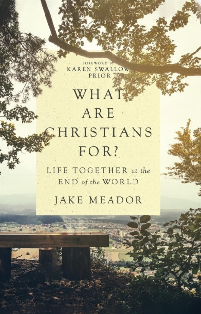 Book cover of: What Are Christians For? – Life Together at the End of the World. By: Jake Meador
