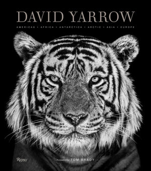 David Yarrow Photography, Americas Africa Antarctica Arctic Asia Europe