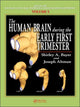 Book cover of: Human Brain During the Early First Trimester. By: Shirley A. Bayer