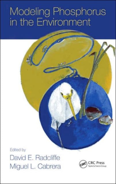 Book cover of: Modeling Phosphorus in the Environment